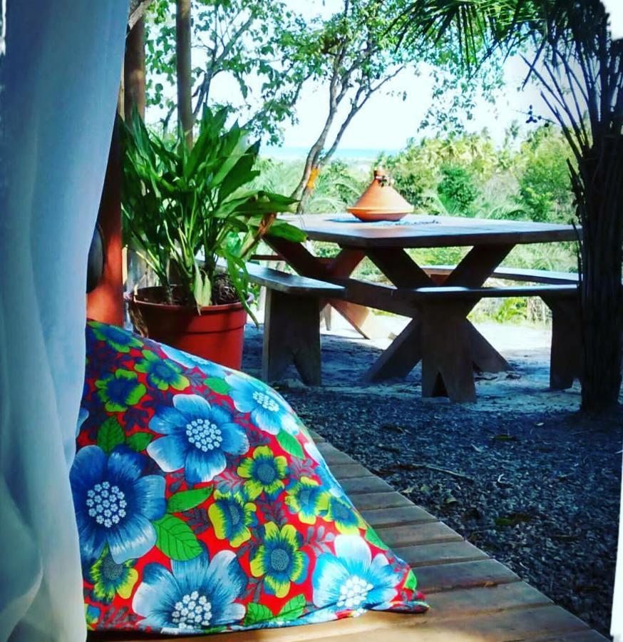Willa Chale "Oasis" Praia do Forte Zewnętrze zdjęcie