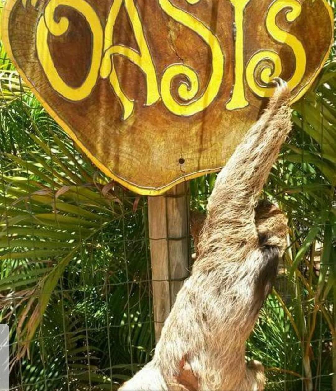 Willa Chale "Oasis" Praia do Forte Zewnętrze zdjęcie